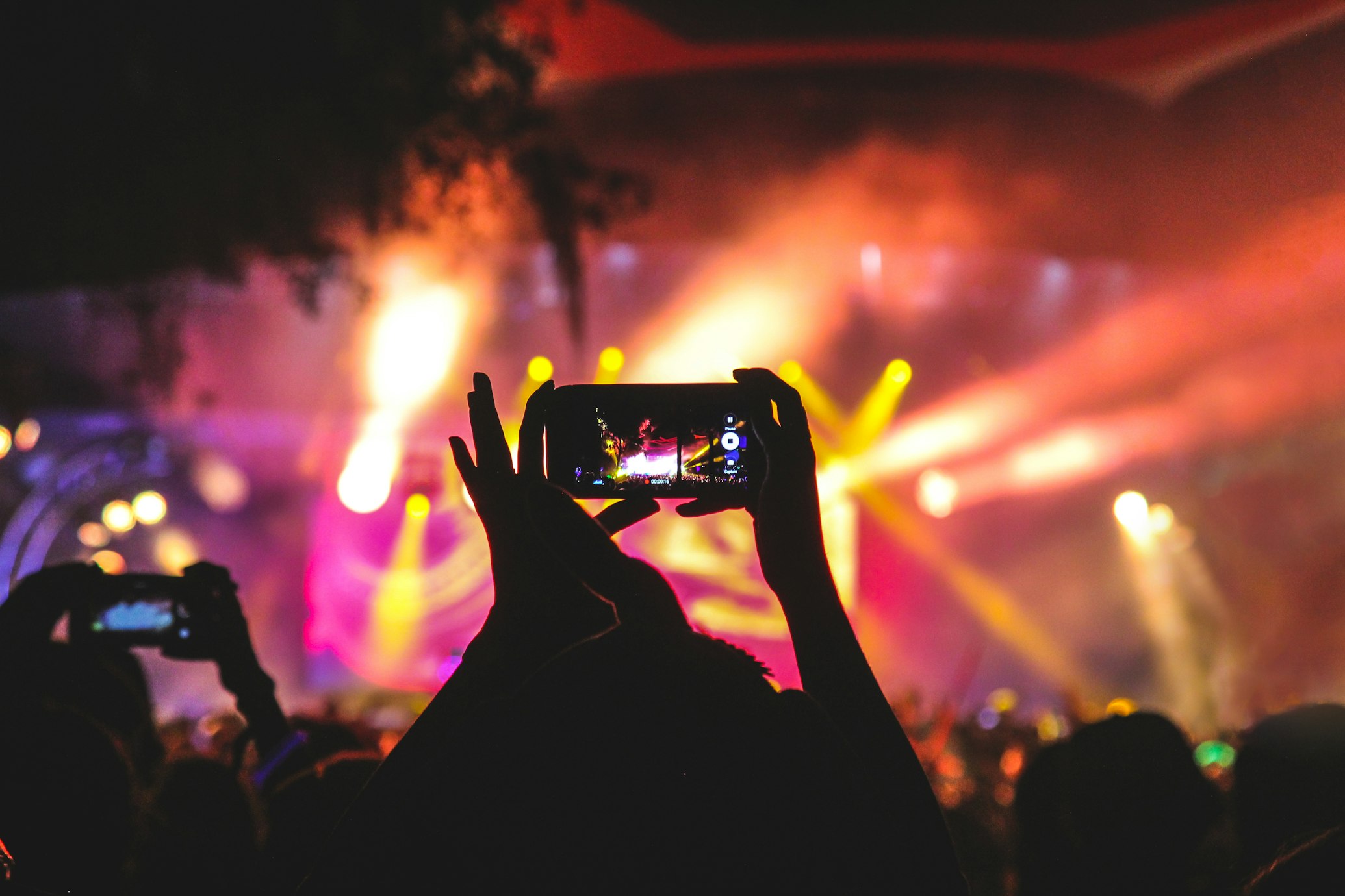 What If Tours Started With Fans?